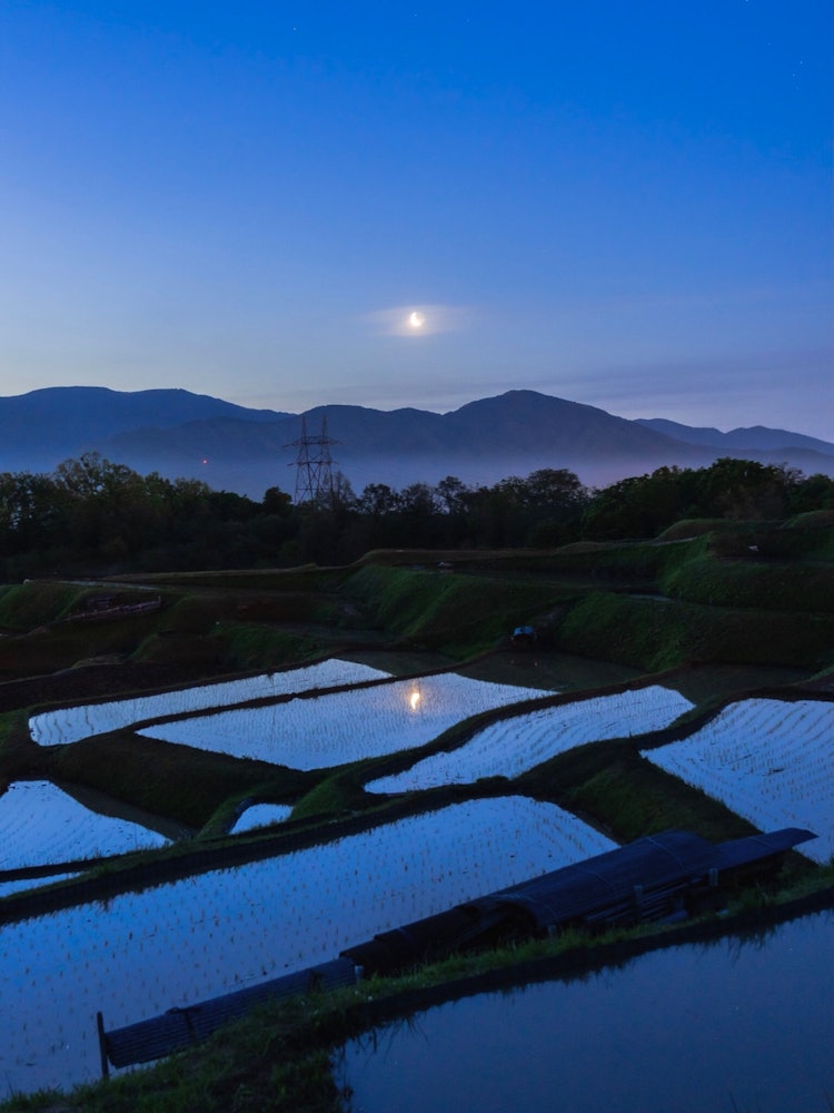 [相片1]漂浮在奧巴蘇特稻田中的新月當電暈消退時，請再次來看看美麗的黎明