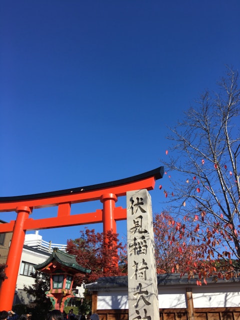 [画像1]伏見稲荷大社大好きな場所鳥居周りの紅葉もきれい♪♪#伏見稲荷大社#京都