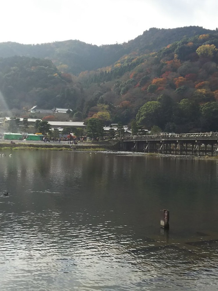 [Image1]When I lived in Kyoto, I often visited for sightseeing.It is a famous Arashiyama. The bridge in the 