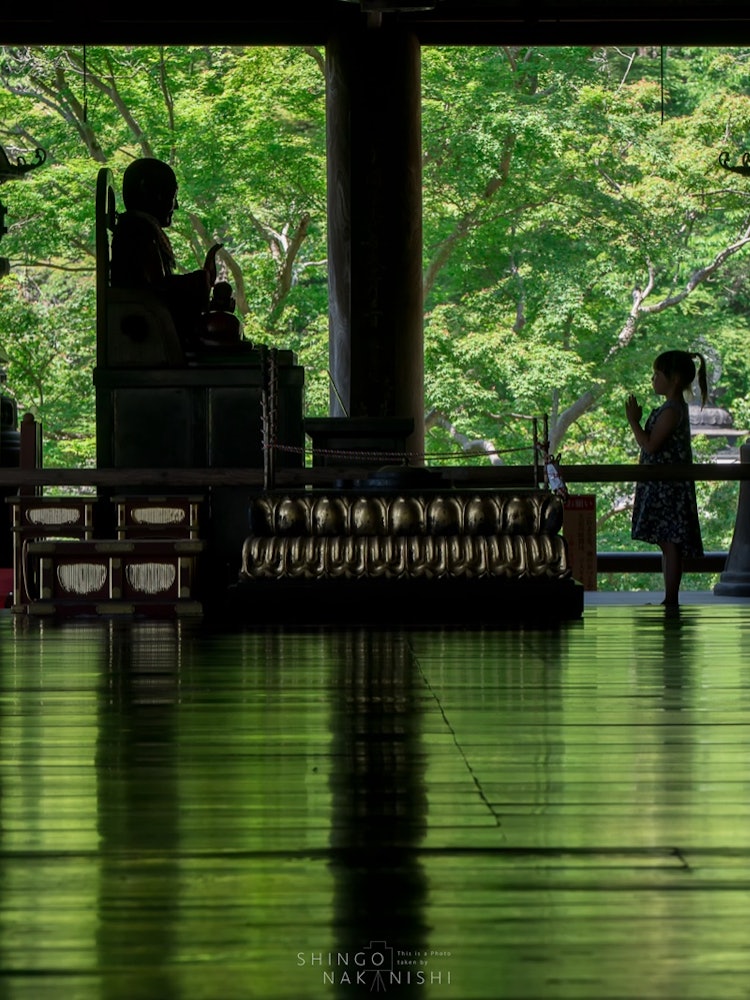 [相片1]奈良县樱井市长谷寺。一年四季都是一座美丽的寺庙，但在新鲜的绿色季节，地板也被染成绿色。