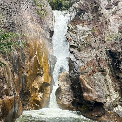 [Image1]Hello, this 😃 is Yamanashi Wine Kingdom Senga Waterfall. It's finally April, and it's been so cold a