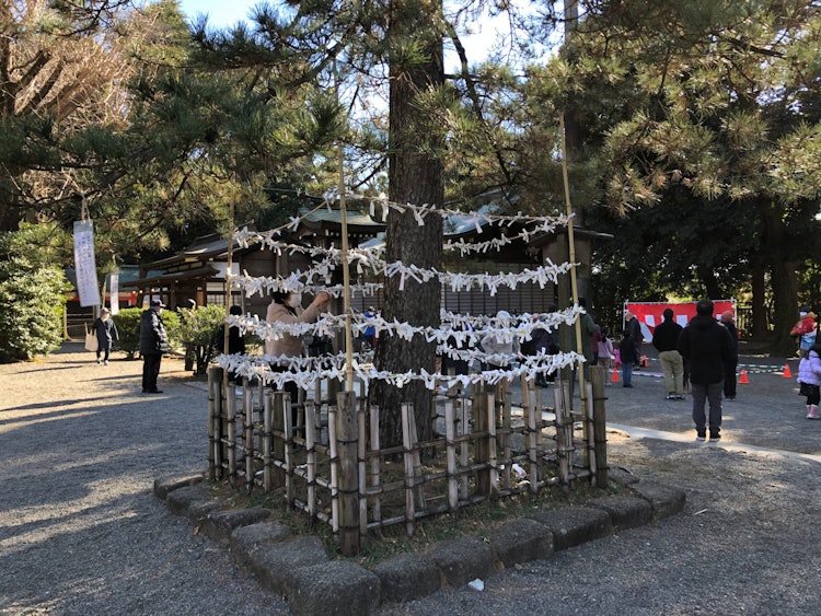 [Image1]The title is Shrine Worship! The location is Igusa Hachimangu Shrine.