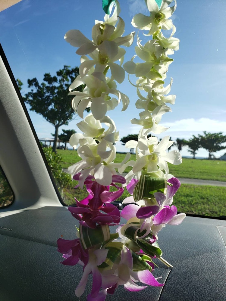 [Image1]Necklace (lei) when hula danced.When you dance barefoot outside, you feel connected to the earth, an