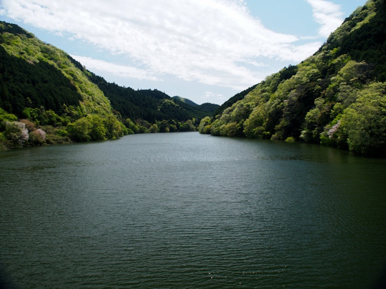 [画像1]室生湖。緑がモリモリと、育ってました。