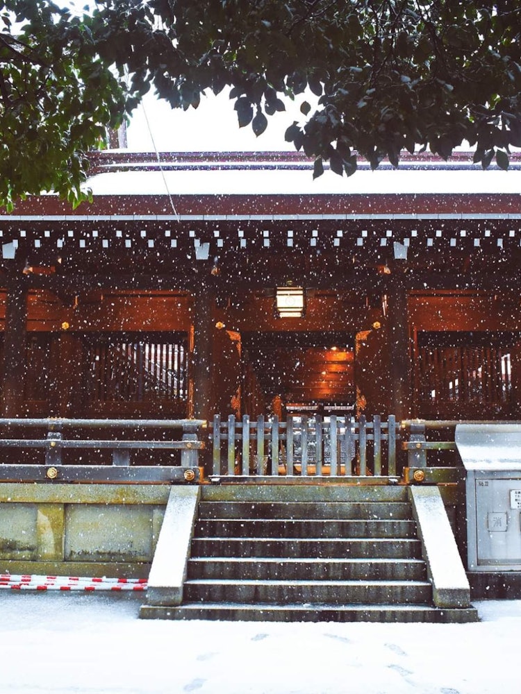 [Image1]Meiji Jingu shrine during snowfall