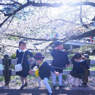 [相片1]日本之春在新宿御苑散步时拍摄的。