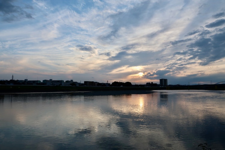 [画像1]多摩川を散歩した時です。 夕陽に照らされて、綺麗でした。
