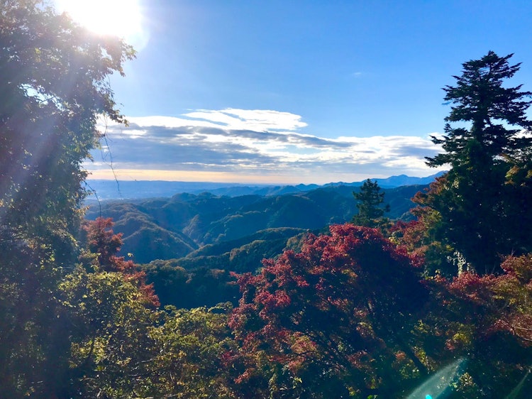 [Image1]Mount Takao. The air was clear.