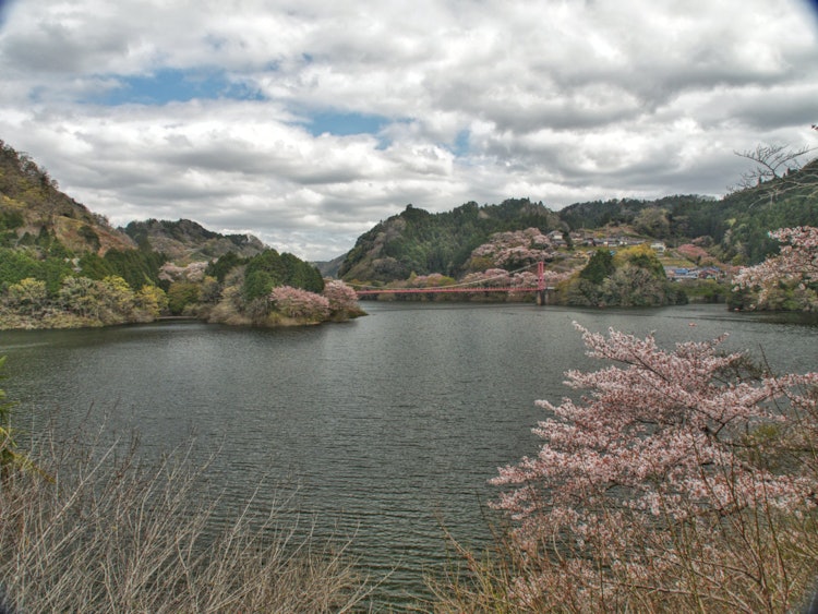 [画像1]月ケ瀬湖畔の風景。山間に、抜けた風景が印象に残りました。