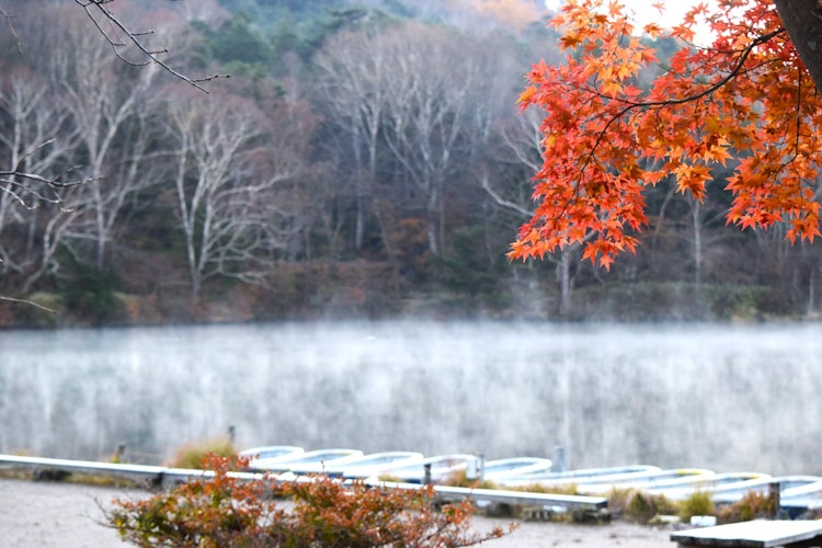 [이미지1]유노코 호수20221103 오쿠닛코의 아침온천 열기의 도움으로 환상적인 풍경