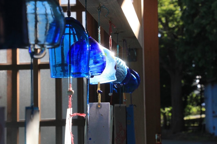 [相片1]静冈县乌库苏神社我来拍摄风铃，这是夏天的传统。 一束光打在风铃上，非常漂亮，所以我松开了快门。