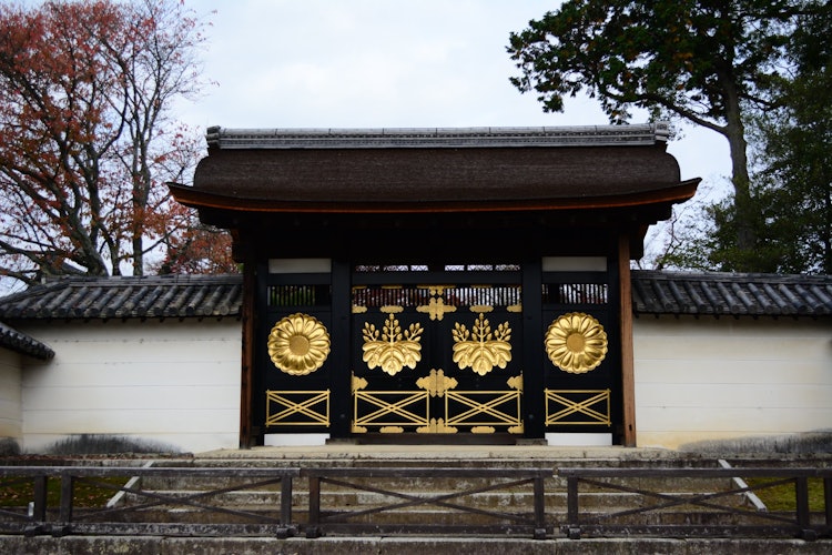 [相片1]它是京都醍醐寺的皇门。皇室的菊花徽章和丰臣的75泡桐花的徽章闪耀着金色的光芒，真的很华丽。