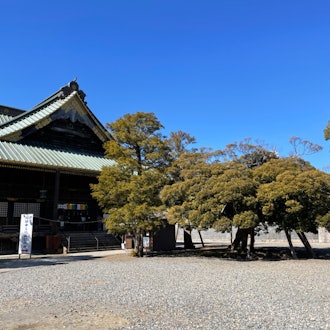 [相片2]它是在成田山新勝寺拍攝的。