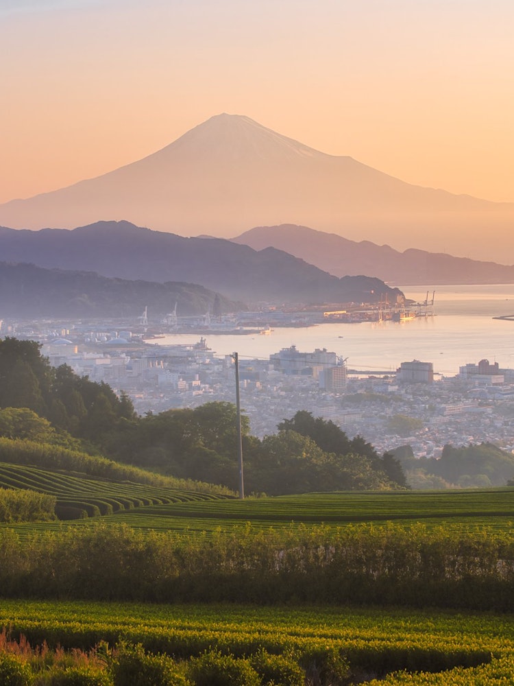 [画像1]日の出のゴールデンアワー静岡県日本平で撮影したものです。 久しぶりの早朝写真活動であり、真後ろに富士山があって、薄霧に加え、日の出に照らすゴールデンアワーが心を癒されました。