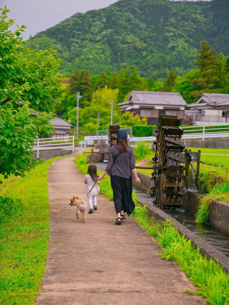[Image1]Water mill 😌 in Kamikawa, Hyogo