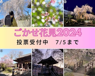 [Image1][🌸 Gokase Hanami 2024🌸]Restrooms available for applying for the Instagram campaign 