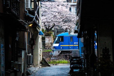 [画像1]広島県尾道市の桜です古い街並みに桜がマッチします日本の春は桜で始まります桜が散ればもう夏が近づいてきます「#春」「#フォトコンテスト」