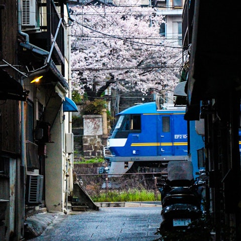 [이미지1]히로시마현 오노미치시의 벚꽃입니다벚꽃은 오래된 도시 풍경과 잘 어울립니다.벚꽃과 함께 시작되는 일본의 봄벚꽃이 지면 벌써 여름이 다가오고 있습니다