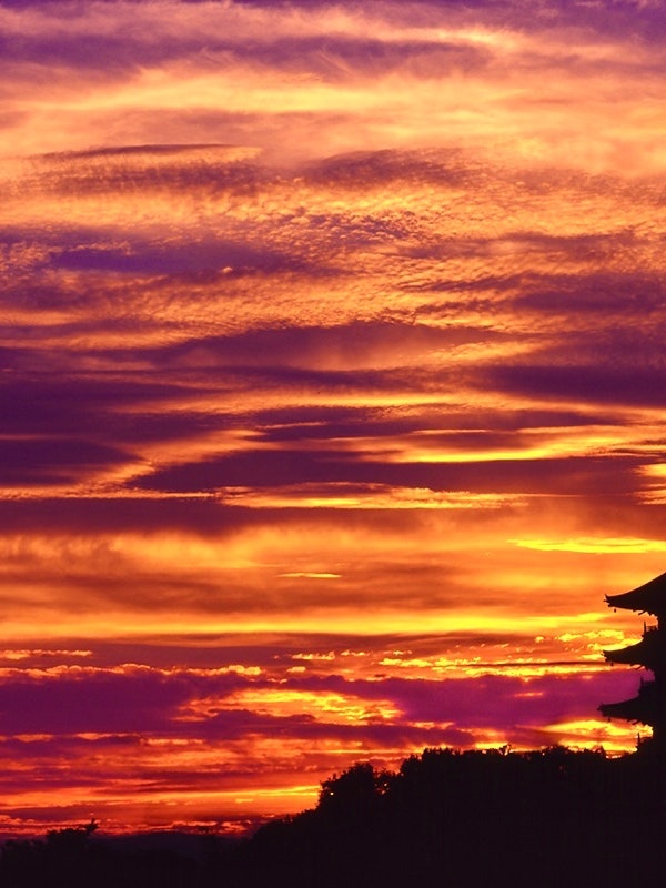 [Image1]The five-storied pagoda of the Binchuku Branch Temple in Soja City, Okayama Prefecture is a symbol o