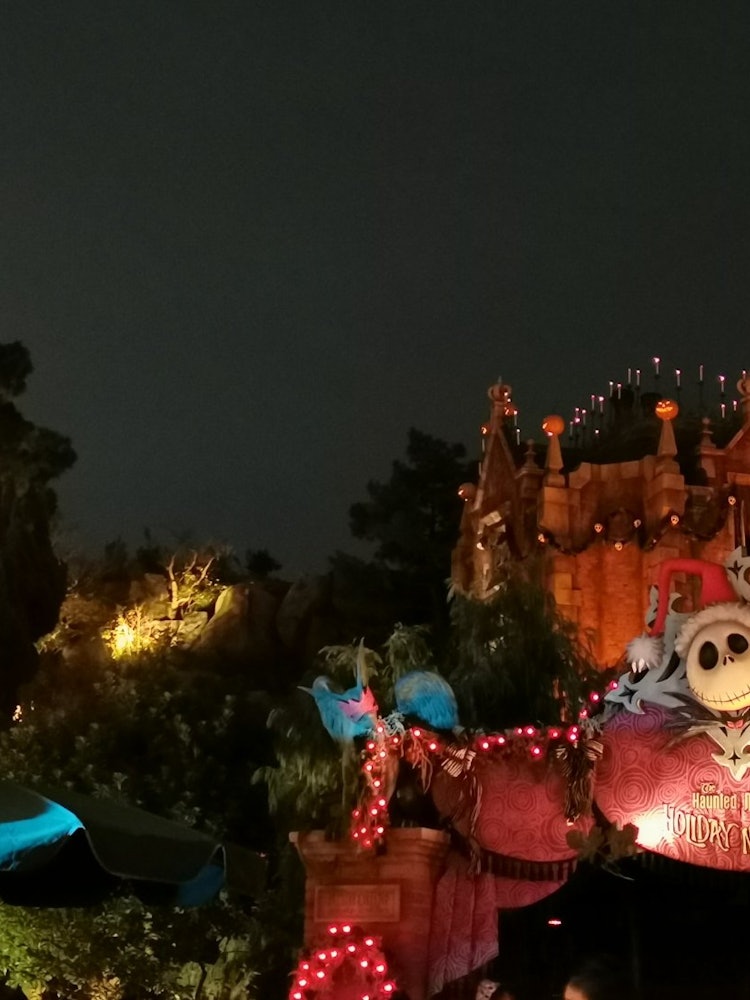 [Image1]Haunted Mansion 💀 for Halloween ChristmasThe exterior and interior were ☺ lovely