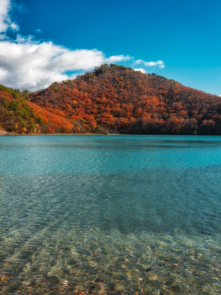 [相片1]五顏六色的秋葉和藍色的沼澤是神秘的瀉湖。