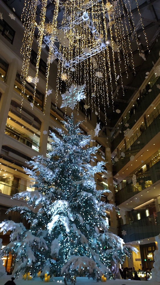 [相片1]這是我在2022年12月24日星期六與家人外出吃飯之前停下來的KITTE 丸之內一樓的聖誕樹。我碰巧在日本的電視節目「流浪中途停留」中知道它的存在。每年12月，都會設置一棵巨大的聖誕樹，並定期舉行燈飾