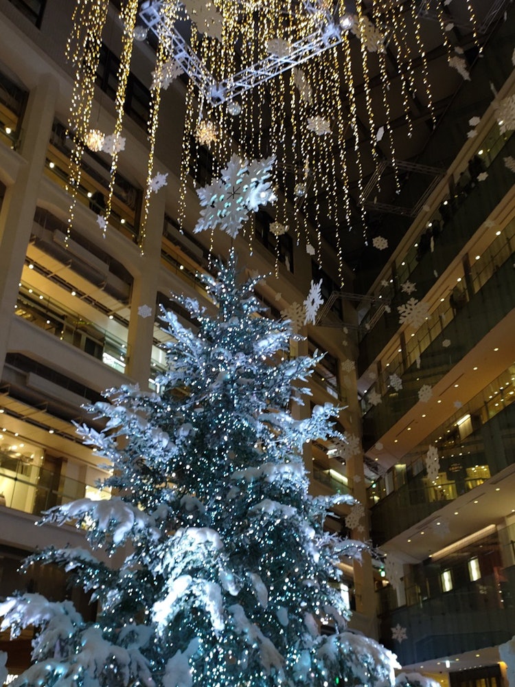[Image1]This is the Christmas tree on the first floor of KITTE Marunouchi that I stopped by before going out
