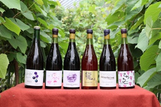 [相片1]🍇 做一个美味的葡萄酒🍷~。在带广市饭平町山上的“相泽农场”，　有一种有价值的葡萄酒是通过完全不使用化肥和杀虫剂种植葡萄而酿造的。 今年收获的葡萄期待着明年的生产。aizawanouen.com🐎 参