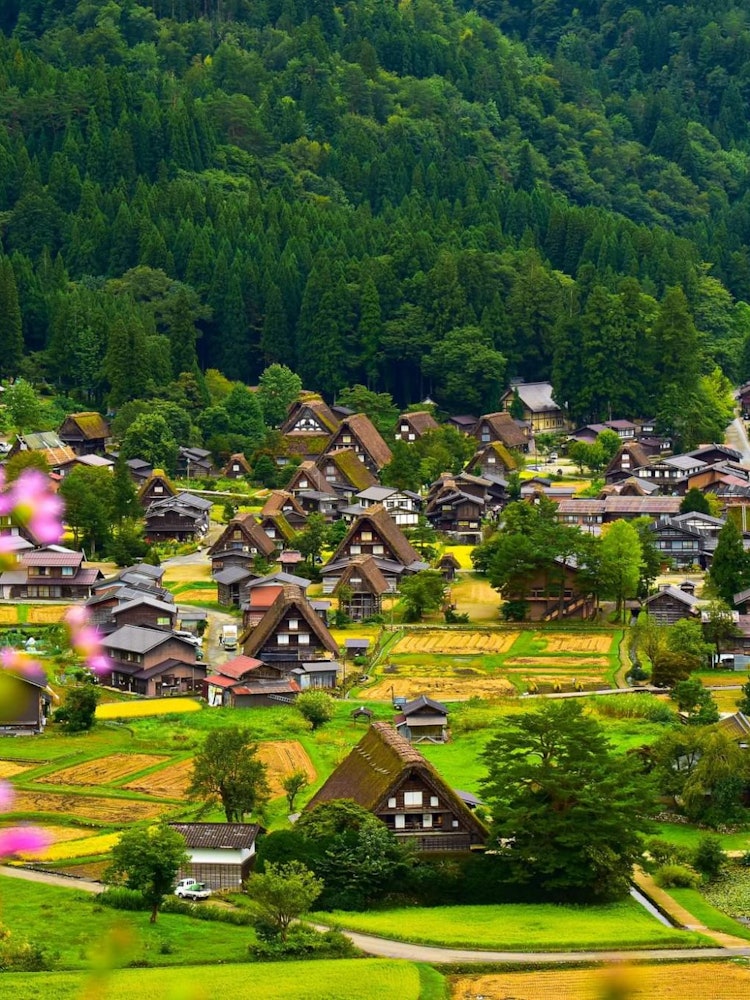 [Image1]Shirakawa-go is one of the most famous tourist spot in Gifu Prefecture. This place looks very beauti