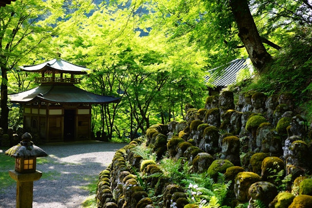 [画像1]京都の嵐山は常に混んでいるイメージがありますが、渡月橋から歩いて30分くらいのところにある愛宕念仏寺は、まさに穴場スポットです。 「千二百羅漢の寺」とも呼ばれ、表情豊かな様々な羅漢さんに会うことができ