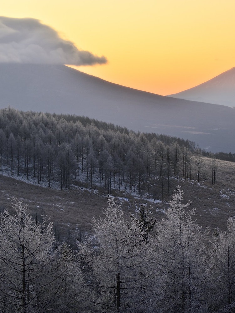 [画像1]早朝、朝焼けに照らされる富士山を撮影しました。前景の霧氷とのコラボレーションが素敵でした。撮影地：長野県 霧ヶ峰