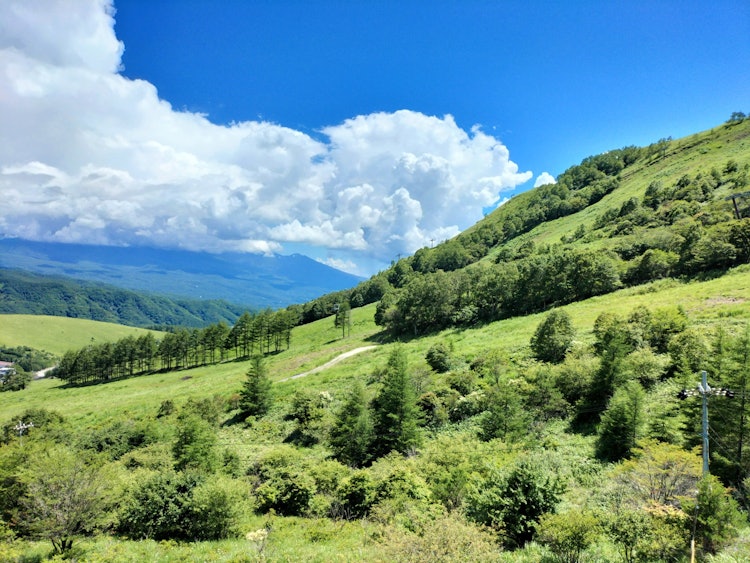 [画像1]車山高原/長野県車山高原リフトに乗って、車山の山頂まで行きました。 リフトからの景色は自然いっぱいで最高でした。 車山は日本百名山のなかで、登る山ではなく遊ぶ山といわれています。