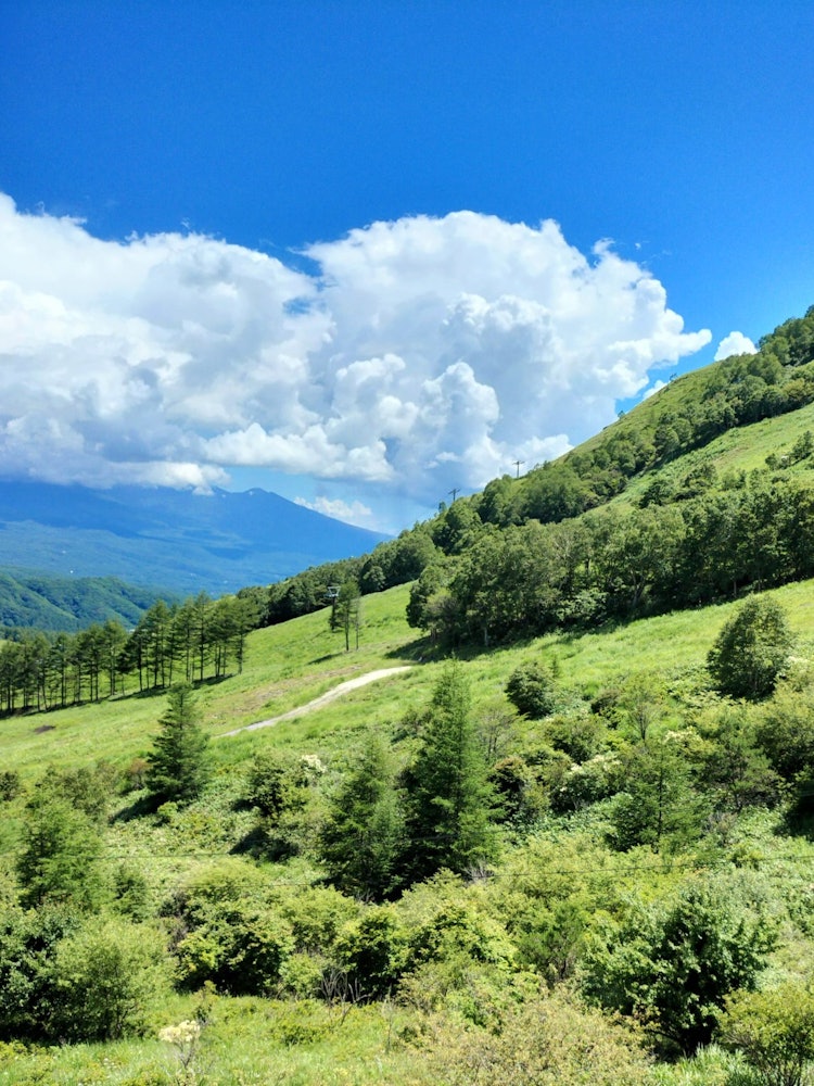 [相片1]车山高原/长野我们乘坐车山高原缆车到达了车山山顶。 电梯的景色充满了大自然，真棒。 据说车山是日本百座名山之一，不是要攀登的山，而是可以玩的山。