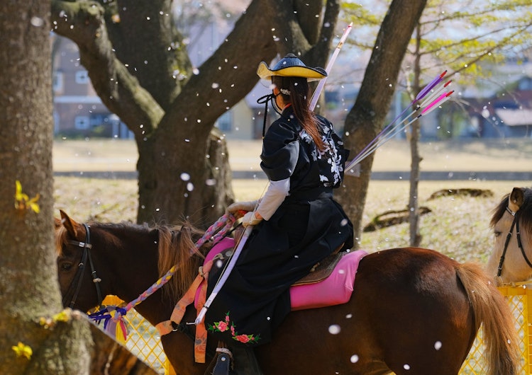 [相片1]在青森縣十和田市，這是在櫻花盛開時只由女騎師舉行的Yabusame比賽。身著光澤和服的女騎師手持弓箭，騎在日本傳統血統的馬匹上時，穿過塵土，迅速射穿三個目標。 今年的比賽充滿了櫻花。
