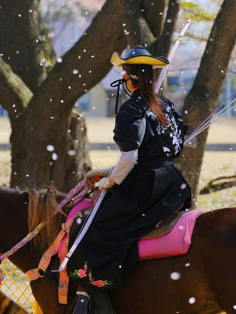[이미지1]아오모리현 도와다시에서는 벚꽃이 만개할 즈음에 여성 기수들만 참가하는 야부사메 대회입니다.광택이 나는 기모노를 입은 여성 기수들은 활을 들고 일본 전통 혈통의 말에 올라타면 먼지를