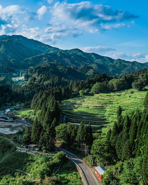 [Image1]Fresh green Kaihara rice terracesIbi-gun, Gifu.. .* Town hall contact confirmed* Obtained Ministry o