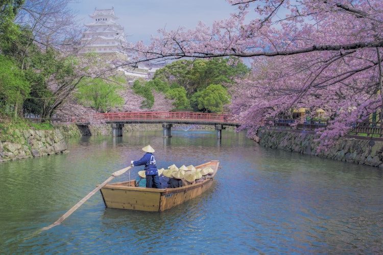 [画像1]早朝の姫路城です。お堀の美しさに感動しました。和船の撮影スポットは、撮影中に地元のおじいさんが教えてくれました。 感謝です。
