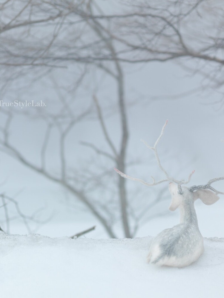 [画像1]いけばなや盆栽を意識した線の表現と、リアルな鹿を神秘的に融合させた羊毛造形作品です。 日本の冬景色を背景に収めた一枚です。