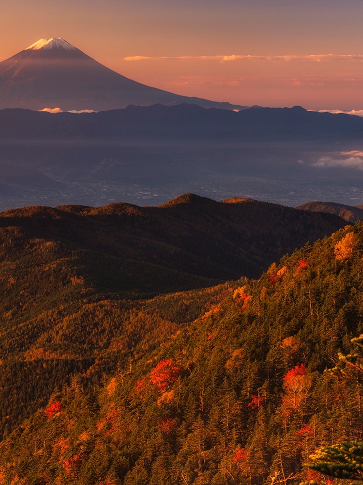 [Image1]Beyond the mountains to find a superb view of Mt. Fuji and autumn leaves 🍁Autumn leaves have begun i