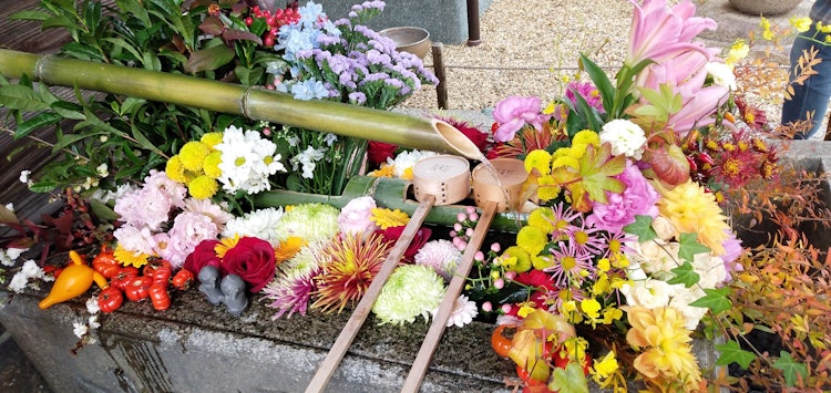 [相片1]圣林寺的水碗它开满了鲜花