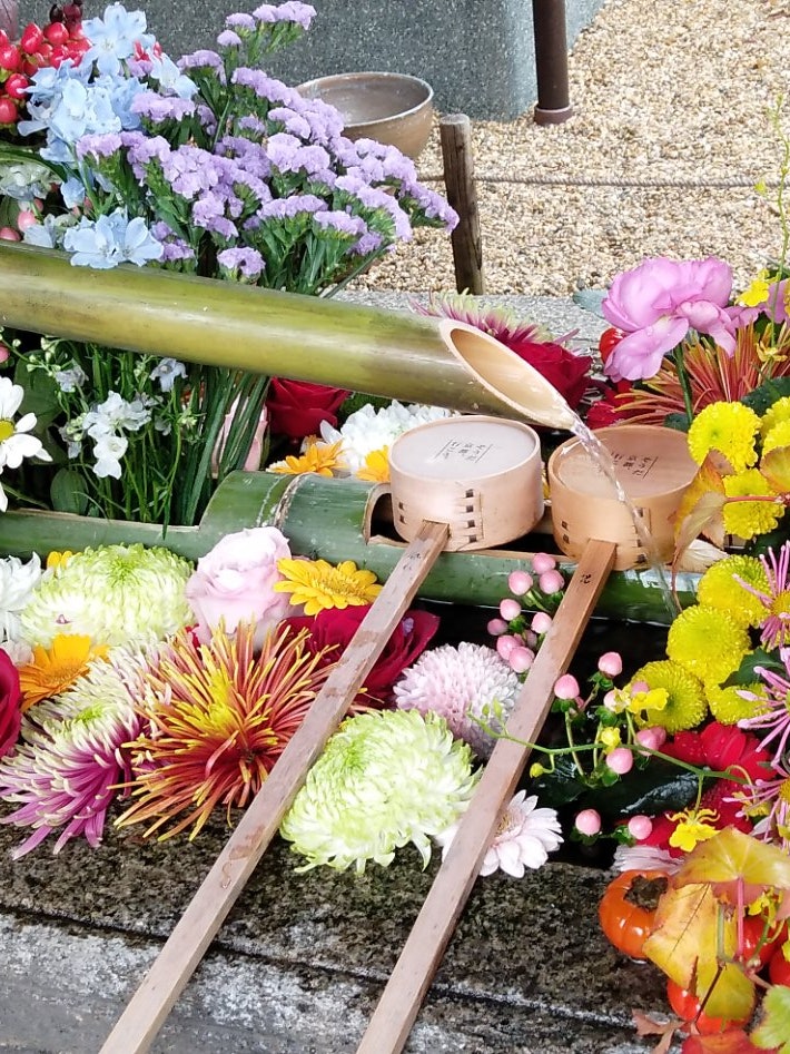 [画像1]勝林寺の手水鉢花で溢れています