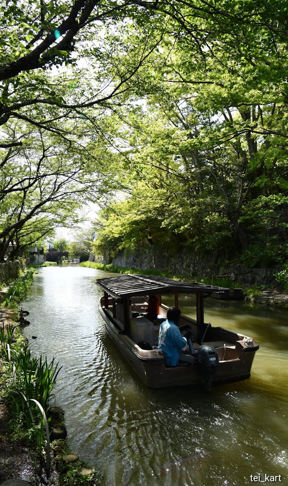 [相片1]八幡堀位于滋贺县近江八幡市。这是新鲜绿色植物闪耀的时候，有一种不同于春天和秋天的清新气氛。由于新的电晕和雨季，外出的机会会减少，但我希望这张照片能让您感到神清气爽。
