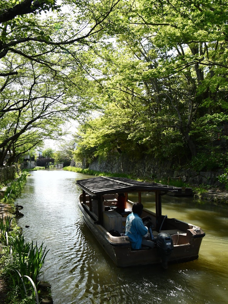 [画像1]滋賀県近江八幡市にある八幡堀。新緑が映える時期になり春や秋とは違った爽やかな雰囲気が出ています。新型コロナや梅雨で外に出かけられる機会が減ってはしまいますがこの写真で少しでも爽やかな気持ちになっていた