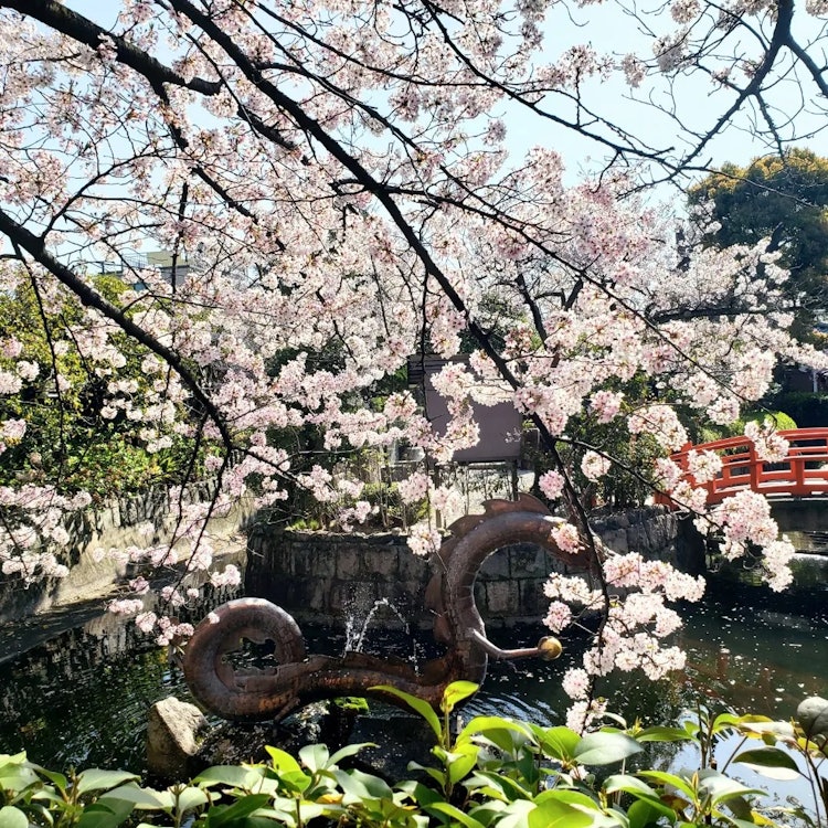 [画像1]京都の壬生寺
