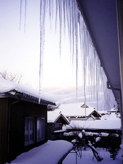 [画像1]新潟に移り住んで1年めの冬。 1996年。朝起きて窓をあけたら… の光景です。PENTAX P30smc PENTAX-A MACRO 50mm f2.8