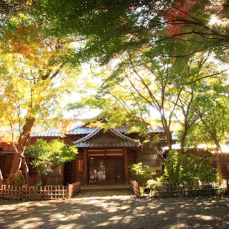 [画像1]地元、群馬県館林市にある旧秋元別邸の紅葉が色づき始め陽の光が一瞬だけ入った所を撮影しました📸グラデーションが綺麗です。