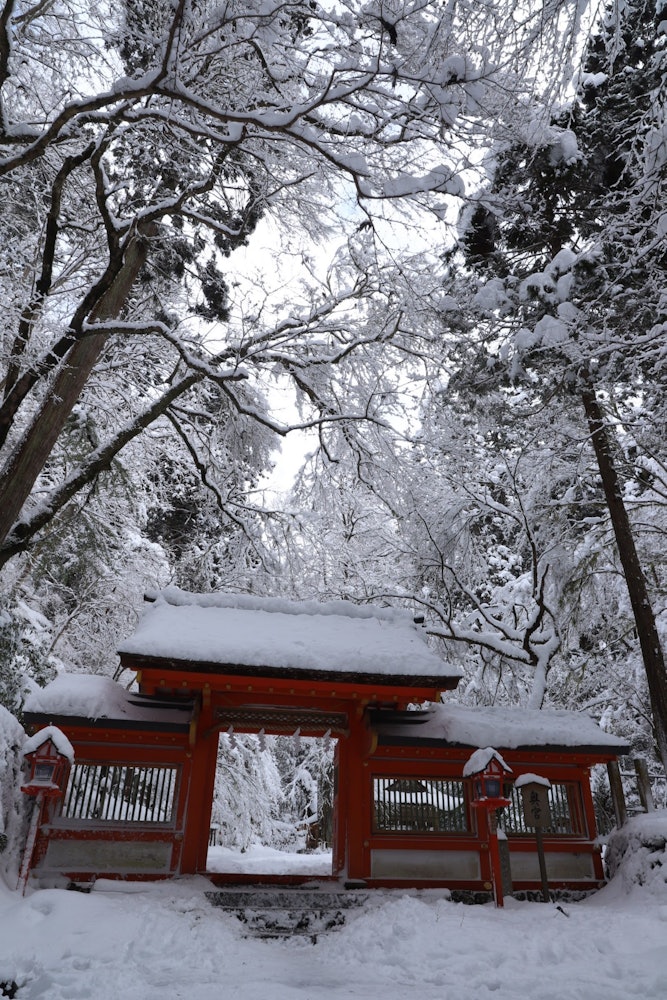 [Image1]This photo was taken at the inner shrine of Kifune Shrine.It was wonderful with more snow than I ima