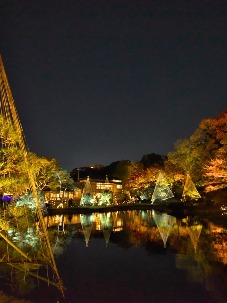 [Image1]Night Autumn Leaves in the Land of Mirrors ~The Beauty of Higo Hosokawa Garden~