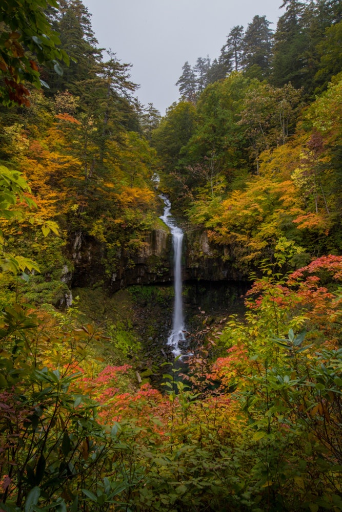 [Image1]It is Sorino Falls (vertical composition) in Hachimantai in Iwate Prefecture. Hachimantai is a 1,614