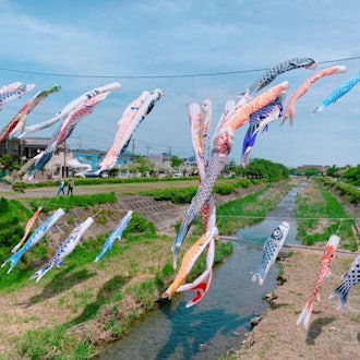 [이미지1][영어/일본어]5월 5일은 어린이날입니다. 어린이날에는 잉어 노보리(Koi Nobori)라는 물고기(잉어)로 외부를 장식합니다. 